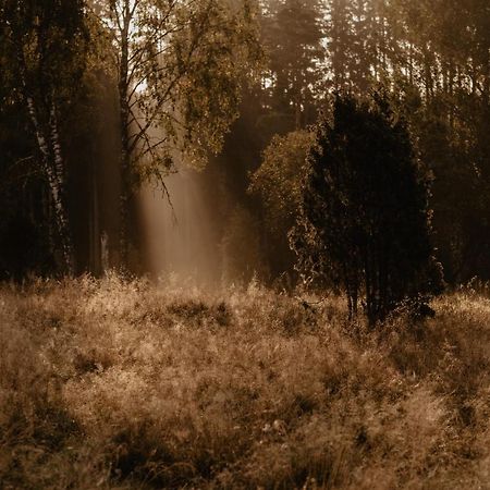 Stiftsgarden Tallnaes Skillingaryd Exteriér fotografie