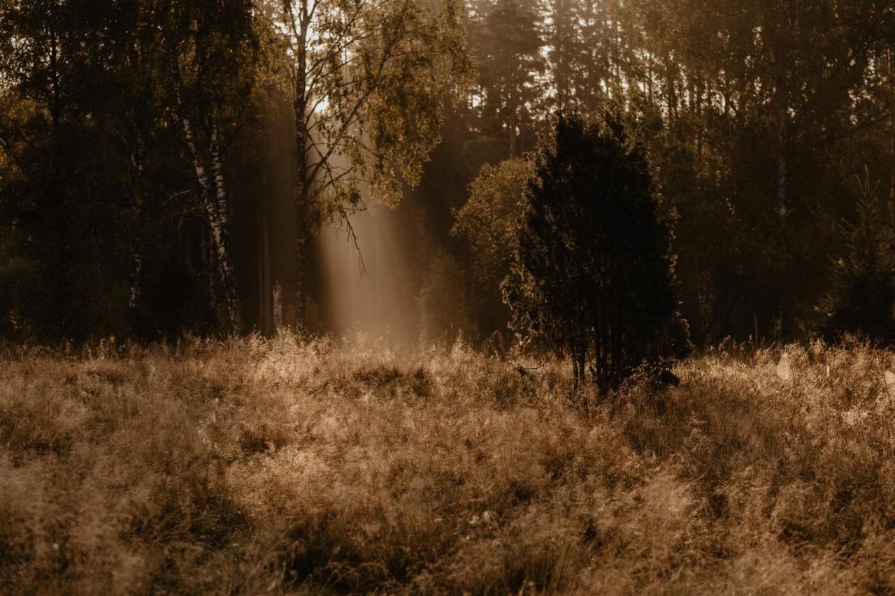 Stiftsgarden Tallnaes Skillingaryd Exteriér fotografie